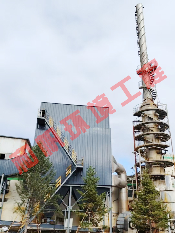 mmexport1756426986533 .jpg